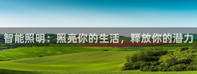 云顶国际提现不到账