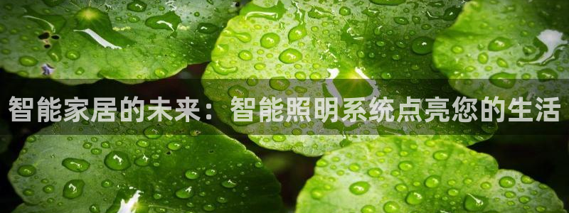 云顶国际服怎么换服务器