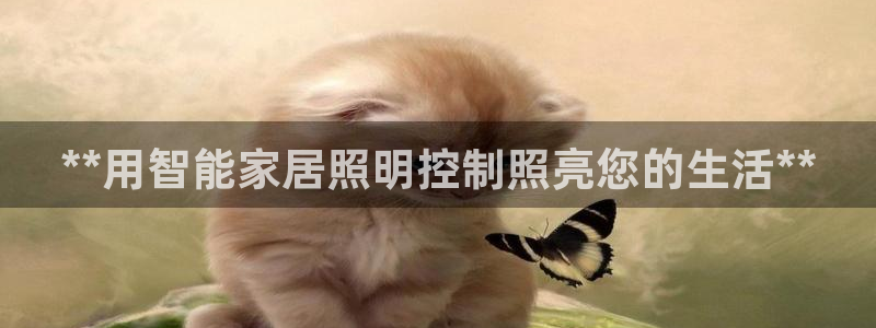 云顶国际服s11