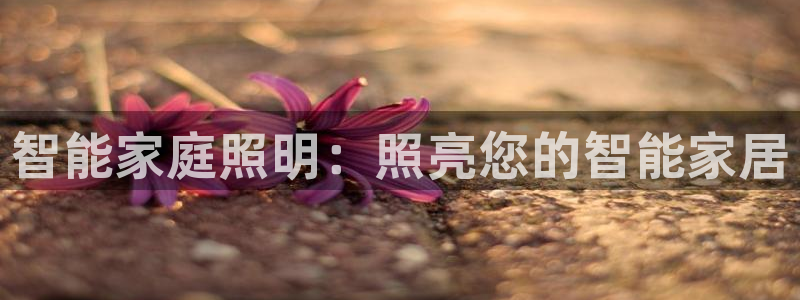 云顶国际服mac汉化