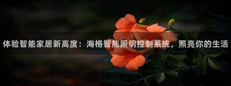 云顶dl