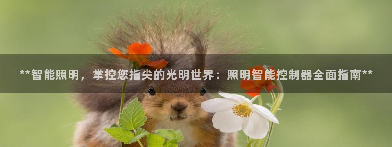 云顶国际在哪里