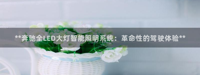 云顶国际是做什么的公司