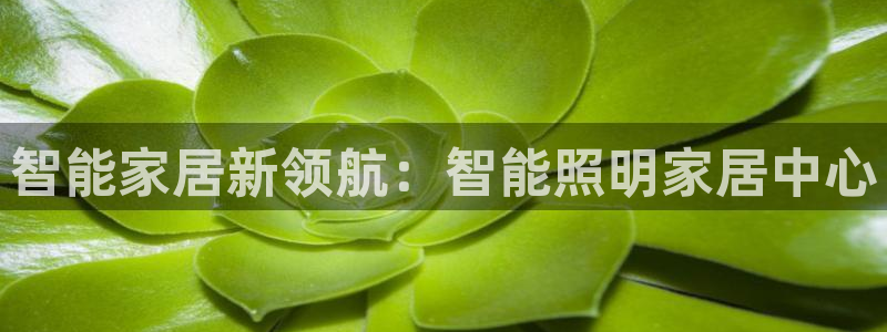 云顶集团老板是谁