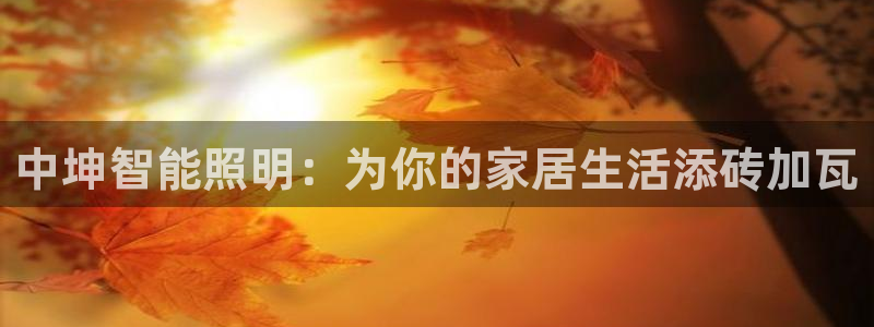 云顶国际区块链怎么样