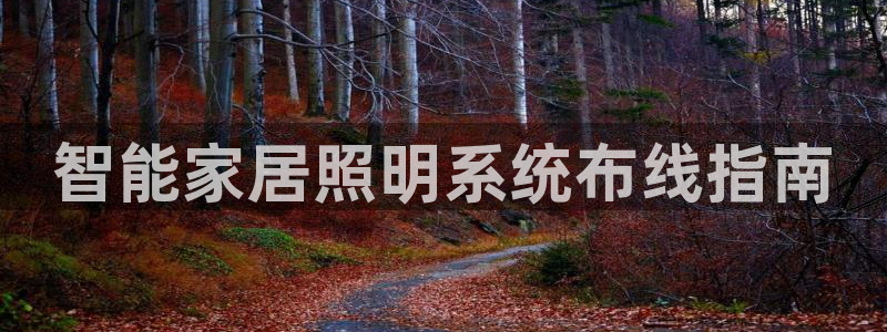 云顶国际酒店位置图