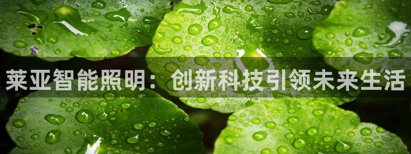 云顶国际KTV会所