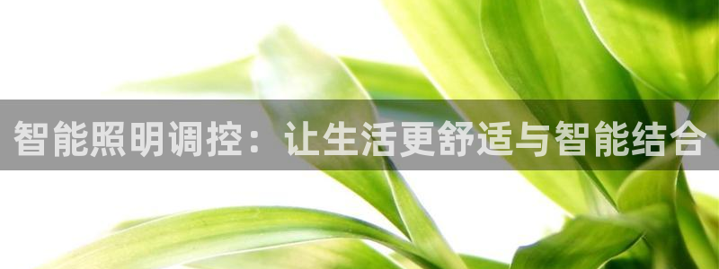 云顶国际商业广场 停车费怎么收
