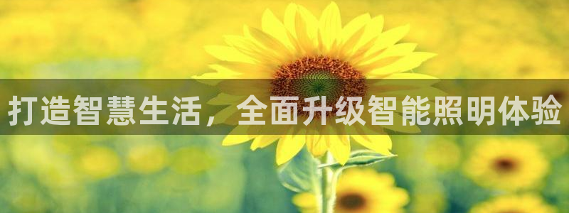 云顶电竞app怎么样