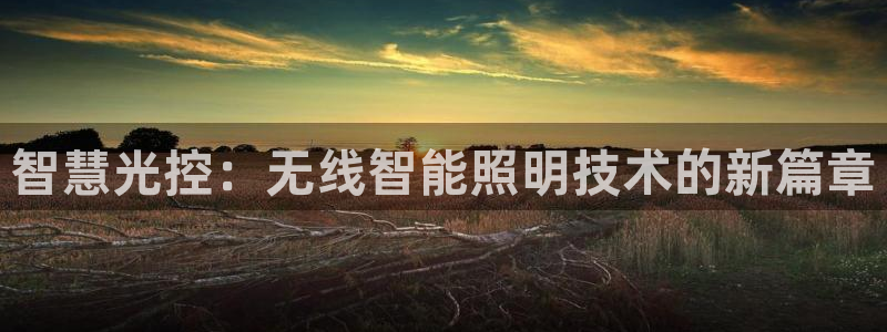 云顶国际酒店几星