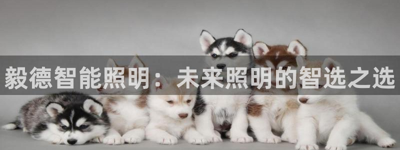 云顶国际官网官方下载