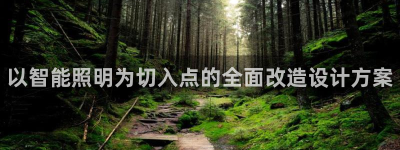 云顶集团有限公司简介资料