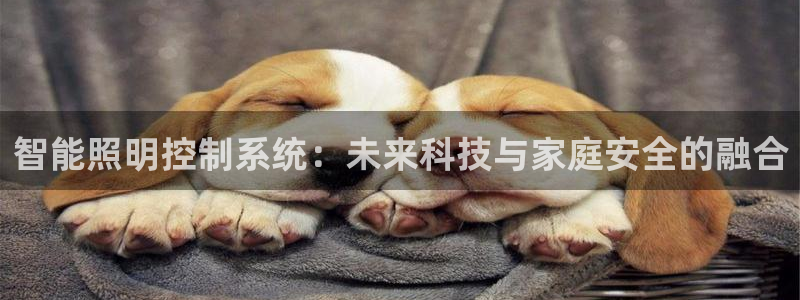 2322云顶：智能照明控制系统：未来科技