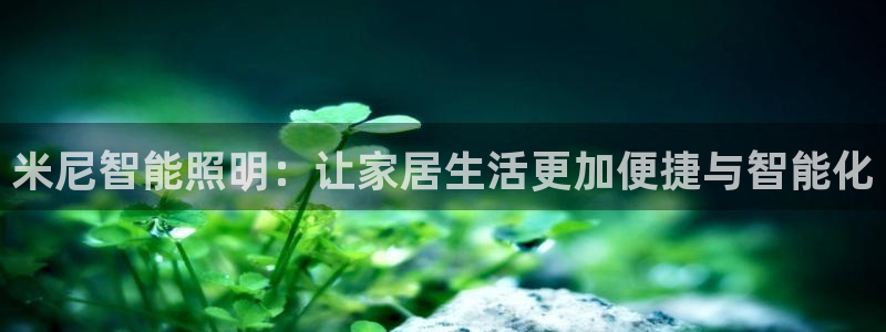 云顶集团老总