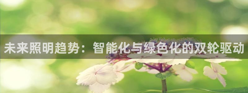 云顶国际官方网站下载手游