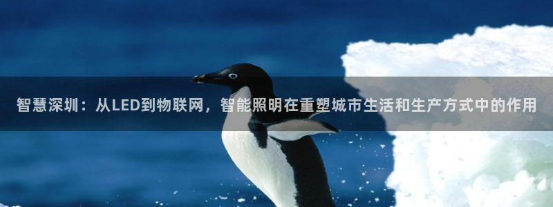 云顶国际酒店怎么样