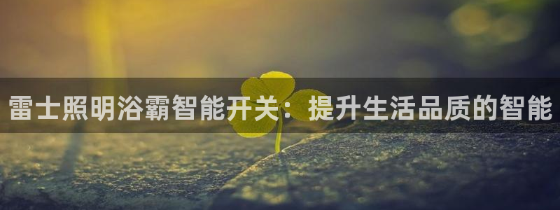 云顶国际游轮：雷士照明浴霸智能开关：提升