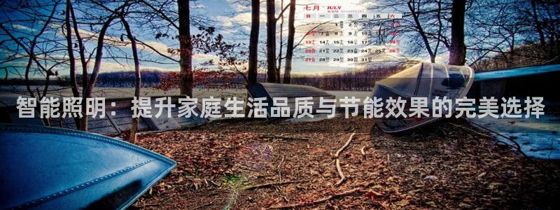 云顶2020：智能照明：提升家庭生活品质