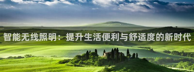 40081122云顶：智能无线照明：提升