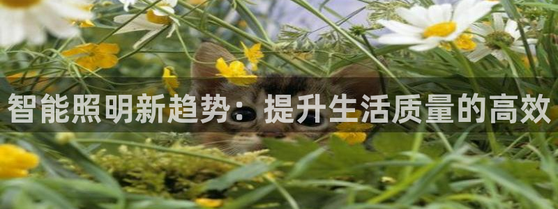 云顶国际服什么时候更新s9.5