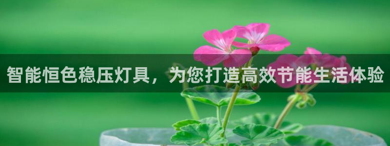 云顶集团董事长林东