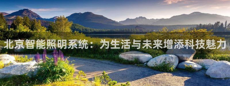 云顶国际集团io